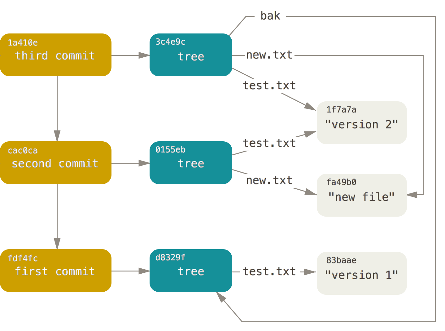 All the objects in your Git directory.