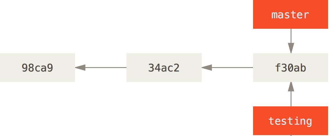 Two branches pointing into the same series of commits.