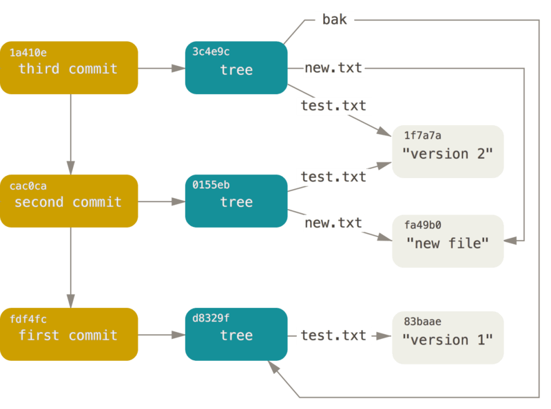 All the reachable objects in your Git directory.