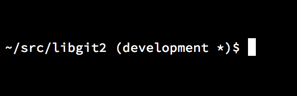 Customized `bash` prompt.